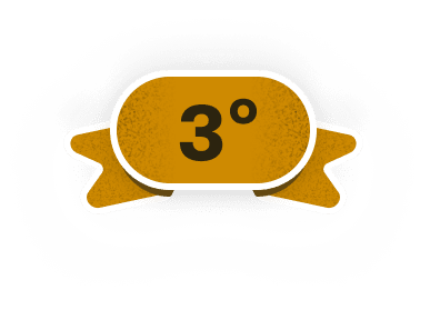 3' place badge