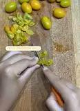Immagine del passaggio 1 della ricetta Mezzi ziti con salsiccia, pomodorini gialli e asiago