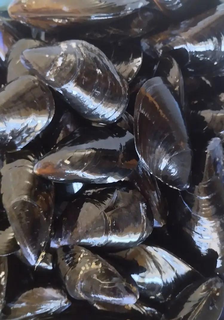 Ricetta Cozze - preparazione per uso invernale di marchichef