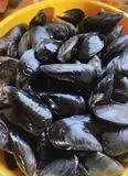 Immagine del passaggio 1 della ricetta Cozze ripiene Gluten free (Muscoli ripieni)