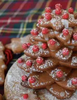 Ricetta Alberello di Natale di panpepato #Natale AltaCucina di Mamy.chef75