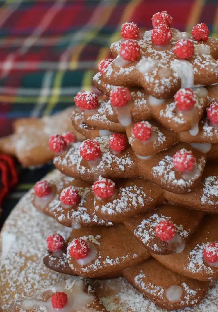 Ricetta Alberello di Natale di panpepato #Natale AltaCucina di Mamy.chef75