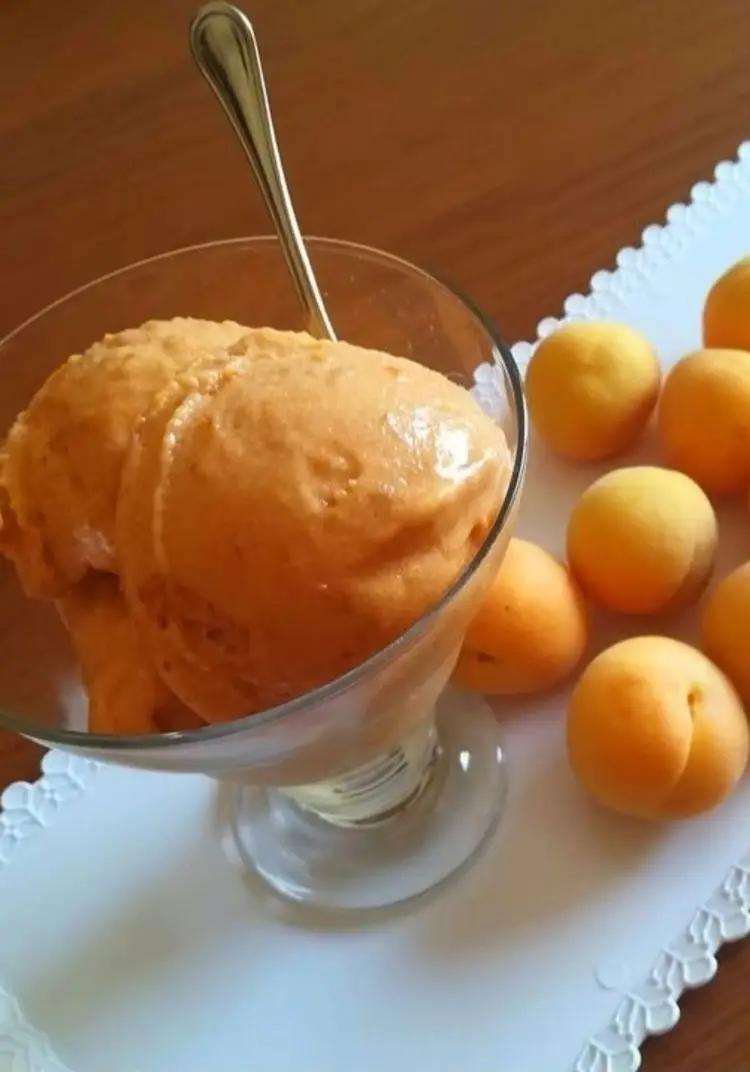 Ricetta Gelato al gusto albicocca di anna_di_meo