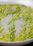 Immagine del passaggio 8 della ricetta Cannelloni ricotta e asparagi selvatici