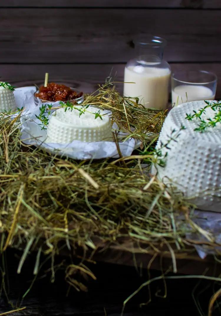 Ricetta Formaggio di capra fatto in casa di lucianaincucina