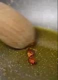 Immagine del passaggio 1 della ricetta Paccheri con crema di pistacchi, cozze e pecorino