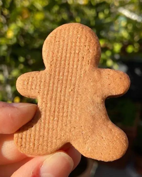 Ricetta Gingerbread facilissimi! 😍 di ninnalemon